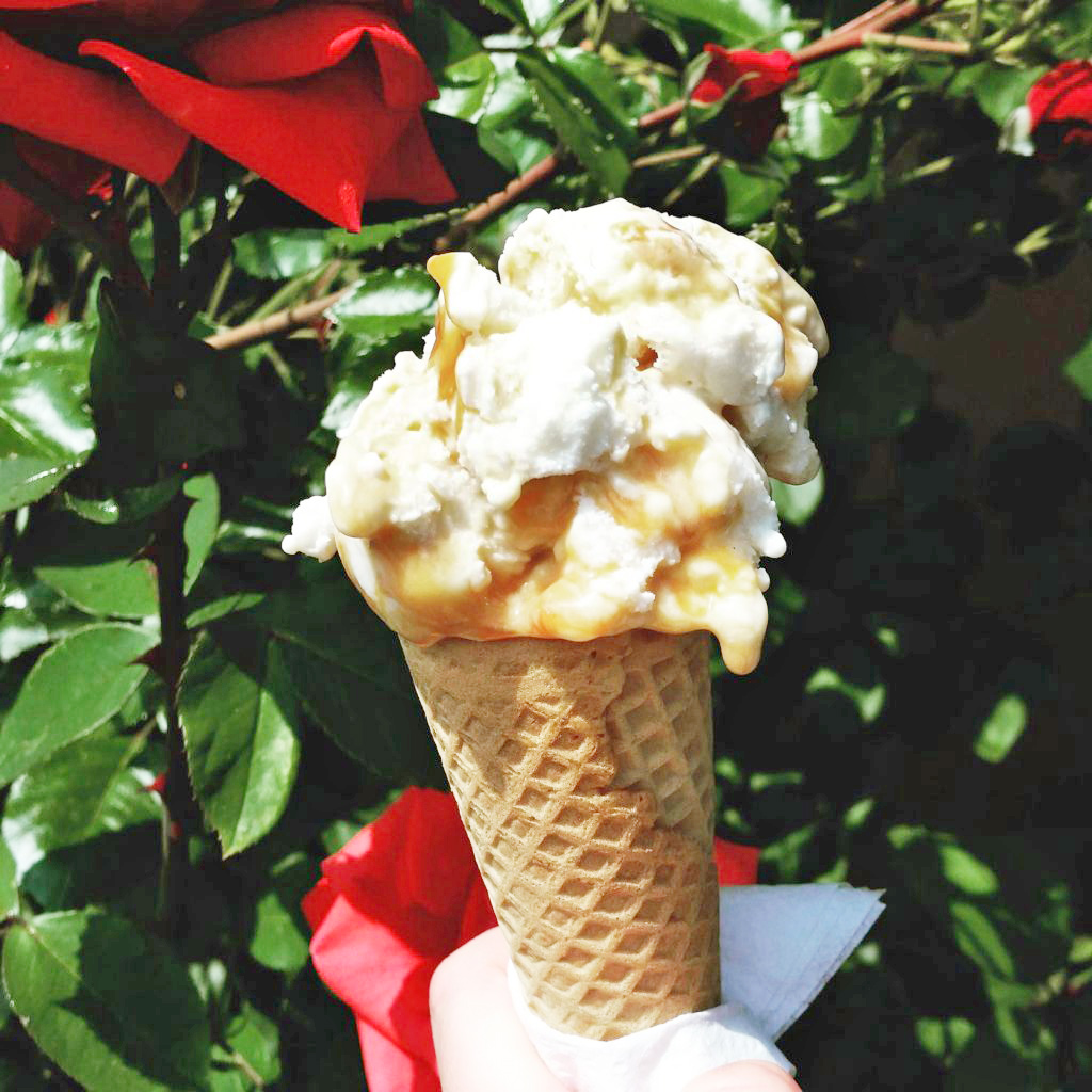 Čokoládová zmrzlina - Obrázek 4